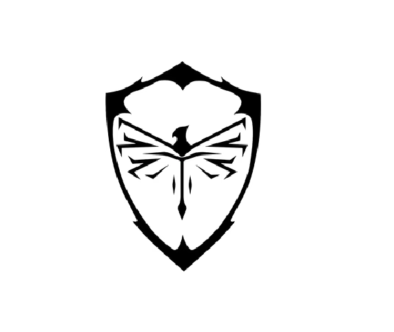 Dueling Guard Codes